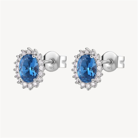 Orecchini Brosway Donna Fancy in Argento Zirconia FFB12 - FFB12